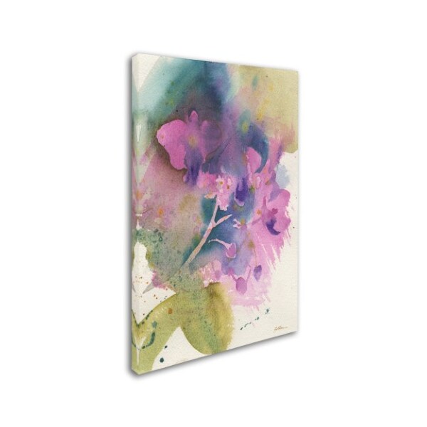 Sheila Golden 'Orchid Dream' Canvas Art,30x47